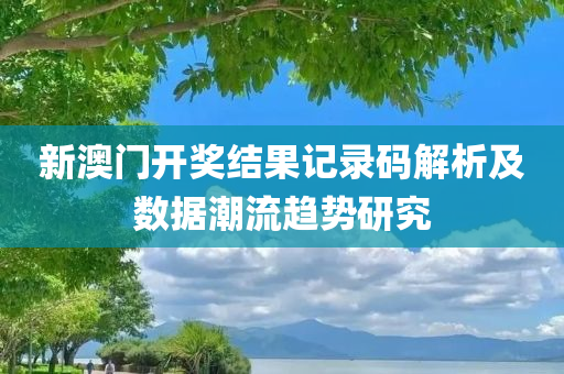 新澳门开奖结果记录码解析及数据潮流趋势研究