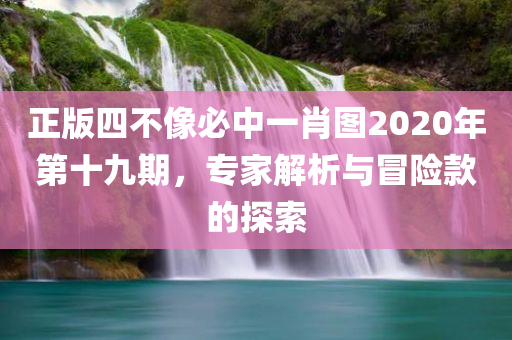 正版四不像必中一肖图2020年第十九期，专家解析与冒险款的探索