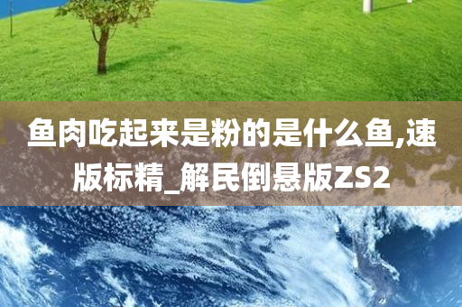 鱼肉吃起来是粉的是什么鱼,速版标精_解民倒悬版ZS2