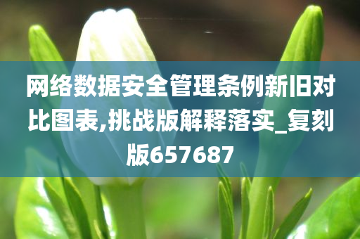 网络数据安全管理条例新旧对比图表,挑战版解释落实_复刻版657687