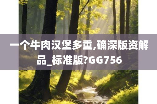 一个牛肉汉堡多重,确深版资解品_标准版?GG756