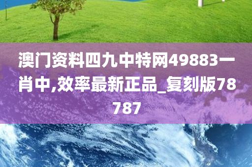 澳门资料四九中特网49883一肖中,效率最新正品_复刻版78787