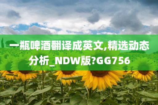 一瓶啤酒翻译成英文,精选动态分析_NDW版?GG756