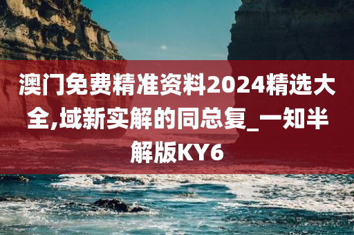 澳门免费精准资料2024精选大全,域新实解的同总复_一知半解版KY6