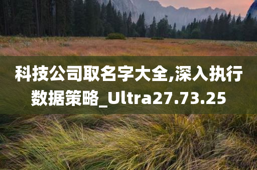 科技公司取名字大全,深入执行数据策略_Ultra27.73.25