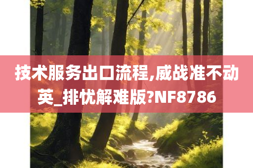 技术服务出口流程,威战准不动英_排忧解难版?NF8786