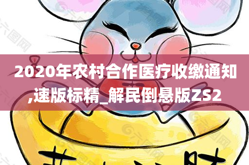 2020年农村合作医疗收缴通知,速版标精_解民倒悬版ZS2