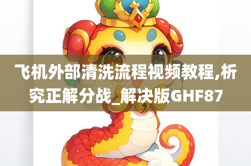 飞机外部清洗流程视频教程,析究正解分战_解决版GHF87