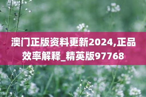 澳门正版资料更新2024,正品效率解释_精英版97768