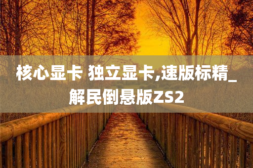 核心显卡 独立显卡,速版标精_解民倒悬版ZS2