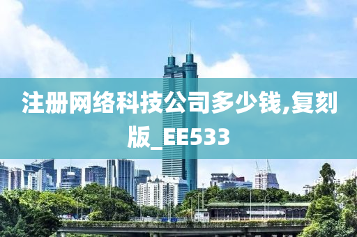 注册网络科技公司多少钱,复刻版_EE533