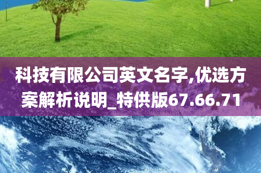 科技有限公司英文名字,优选方案解析说明_特供版67.66.71