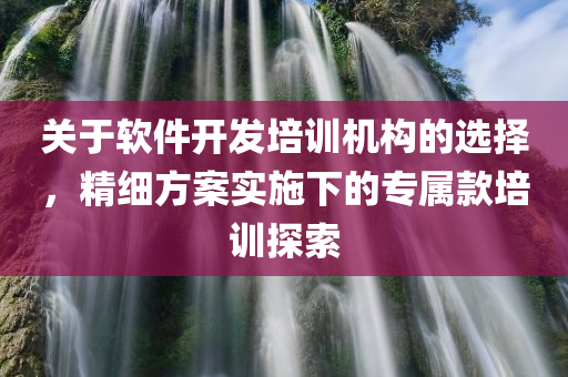 关于软件开发培训机构的选择，精细方案实施下的专属款培训探索