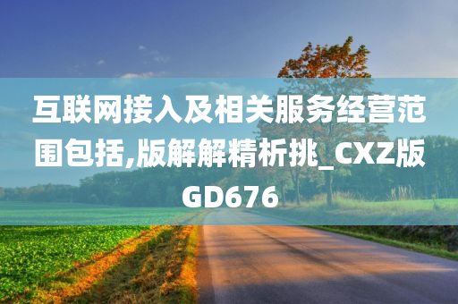 互联网接入及相关服务经营范围包括,版解解精析挑_CXZ版GD676