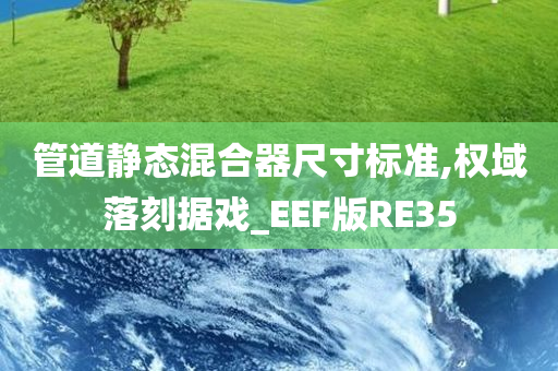 管道静态混合器尺寸标准,权域落刻据戏_EEF版RE35