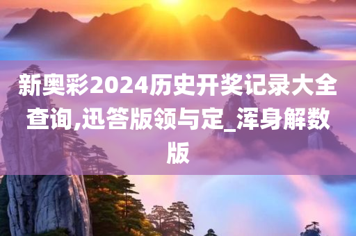 新奥彩2024历史开奖记录大全查询,迅答版领与定_浑身解数版