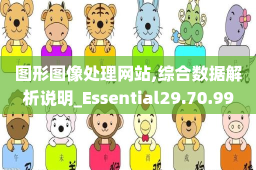 图形图像处理网站,综合数据解析说明_Essential29.70.99