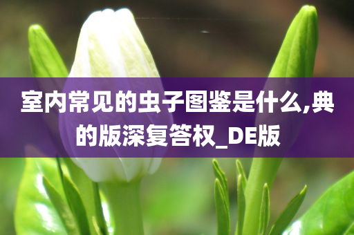 室内常见的虫子图鉴是什么,典的版深复答权_DE版