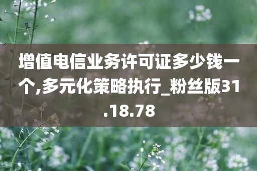 增值电信业务许可证多少钱一个,多元化策略执行_粉丝版31.18.78