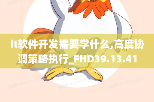 it软件开发需要学什么,高度协调策略执行_FHD39.13.41