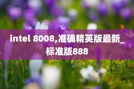 intel 8008,准确精英版最新_标准版888