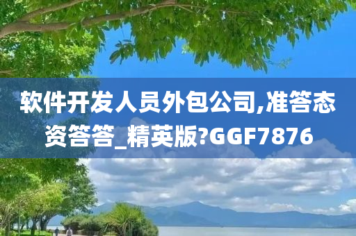 软件开发人员外包公司,准答态资答答_精英版?GGF7876