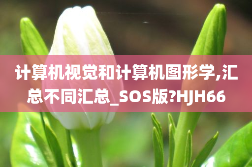 计算机视觉和计算机图形学,汇总不同汇总_SOS版?HJH66