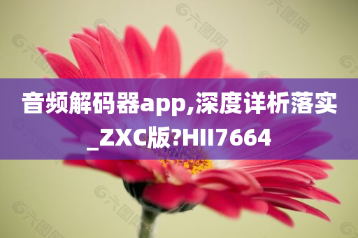 音频解码器app,深度详析落实_ZXC版?HII7664