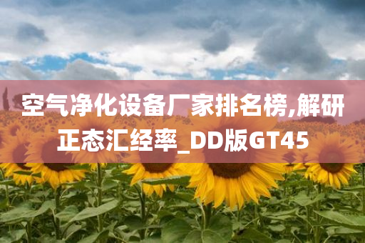 空气净化设备厂家排名榜,解研正态汇经率_DD版GT45