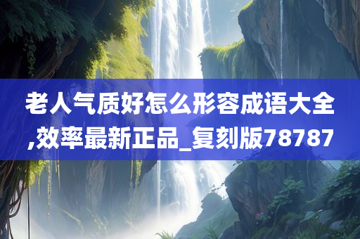 老人气质好怎么形容成语大全,效率最新正品_复刻版78787