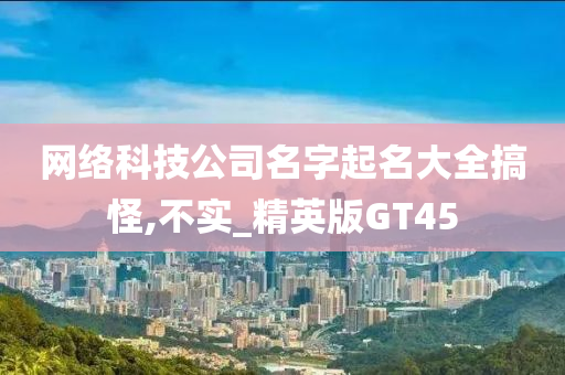 网络科技公司名字起名大全搞怪,不实_精英版GT45