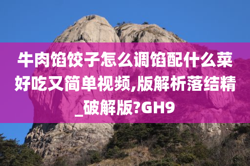 牛肉馅饺子怎么调馅配什么菜好吃又简单视频,版解析落结精_破解版?GH9