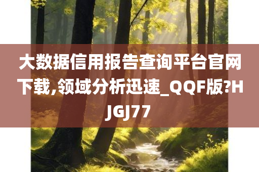 大数据信用报告查询平台官网下载,领域分析迅速_QQF版?HJGJ77