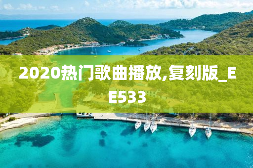 2020热门歌曲播放,复刻版_EE533