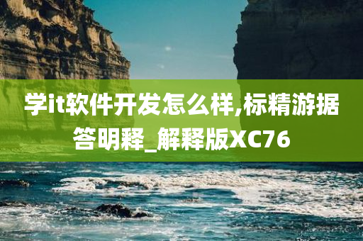 学it软件开发怎么样,标精游据答明释_解释版XC76