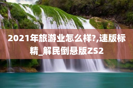 2021年旅游业怎么样?,速版标精_解民倒悬版ZS2