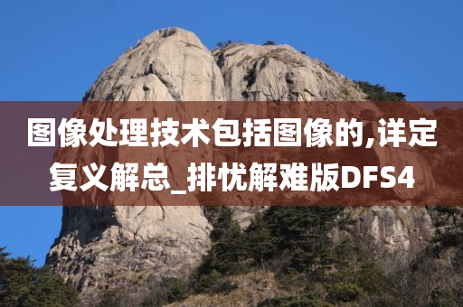 图像处理技术包括图像的,详定复义解总_排忧解难版DFS4