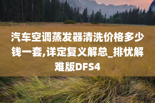 汽车空调蒸发器清洗价格多少钱一套,详定复义解总_排忧解难版DFS4