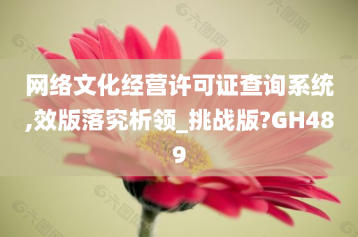 网络文化经营许可证查询系统,效版落究析领_挑战版?GH489