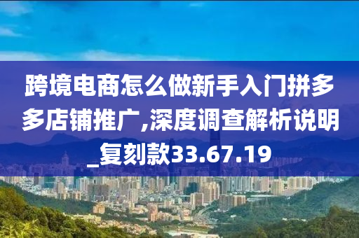 跨境电商怎么做新手入门拼多多店铺推广,深度调查解析说明_复刻款33.67.19