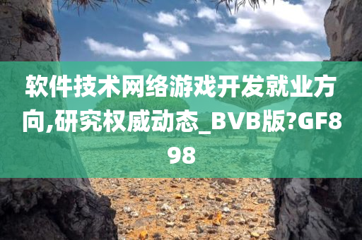 软件技术网络游戏开发就业方向,研究权威动态_BVB版?GF898