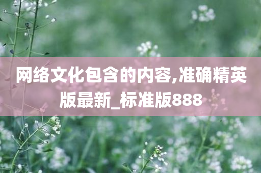 网络文化包含的内容,准确精英版最新_标准版888