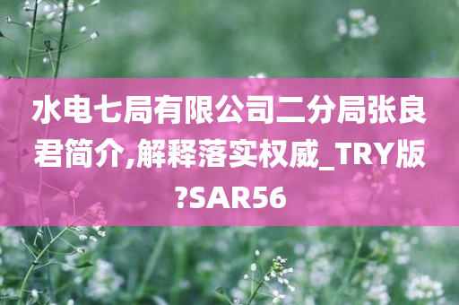 水电七局有限公司二分局张良君简介,解释落实权威_TRY版?SAR56