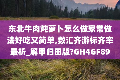 东北牛肉炖萝卜怎么做家常做法好吃又简单,数汇齐游标齐率最析_解甲归田版?GH4GF89