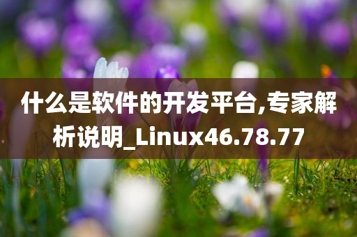 什么是软件的开发平台,专家解析说明_Linux46.78.77