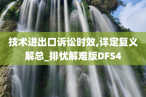 技术进出口诉讼时效,详定复义解总_排忧解难版DFS4