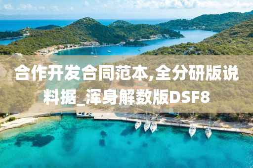 合作开发合同范本,全分研版说料据_浑身解数版DSF8