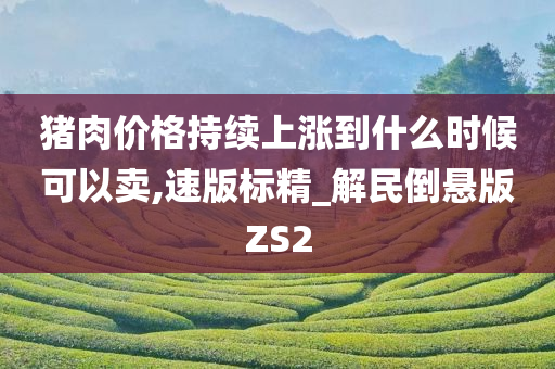 猪肉价格持续上涨到什么时候可以卖,速版标精_解民倒悬版ZS2