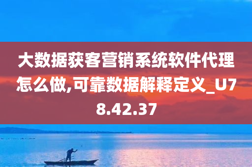 大数据获客营销系统软件代理怎么做,可靠数据解释定义_U78.42.37