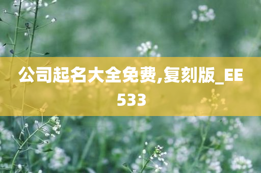 公司起名大全免费,复刻版_EE533